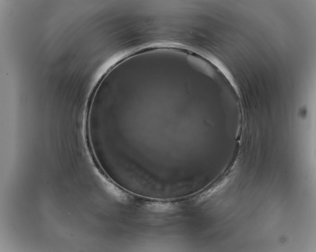 X0000091081245200708131248