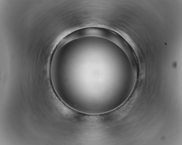 X0000091081246200708131248