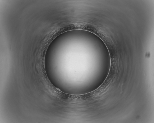 X0000091081249200708131247