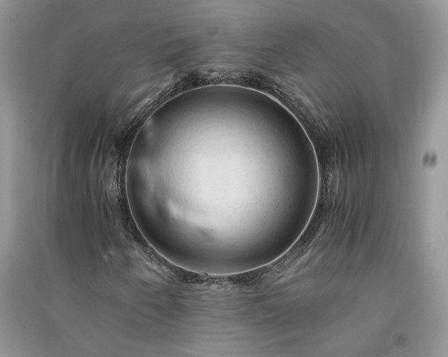 X0000091081250200708131247