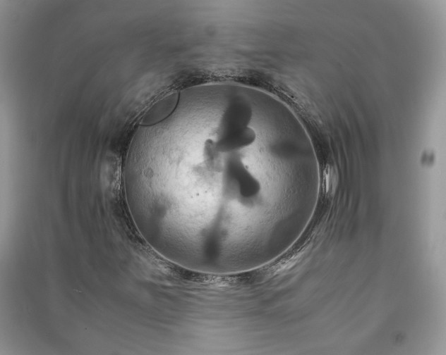 X0000091081251200708131247