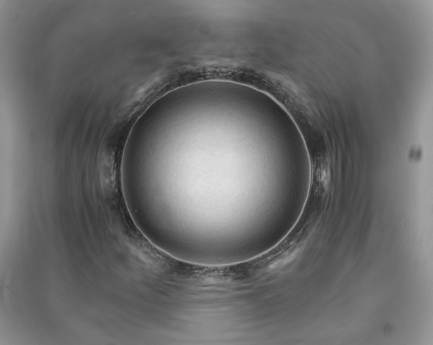 X0000091081252200708131247