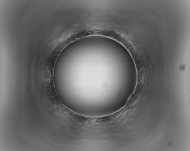 X0000091081253200708131247