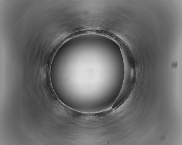 X0000091081257200708131247