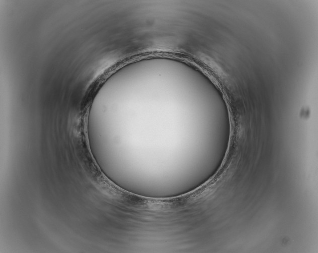 X0000091081258200708131247