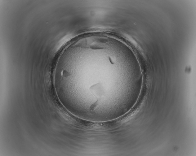 X0000091081259200708131247