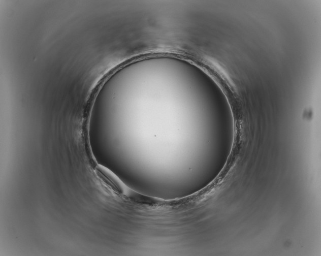 X0000091081260200708131247