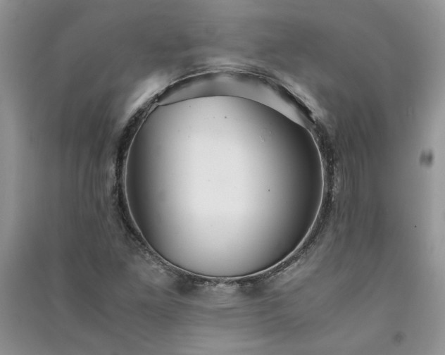 X0000091081261200708131247