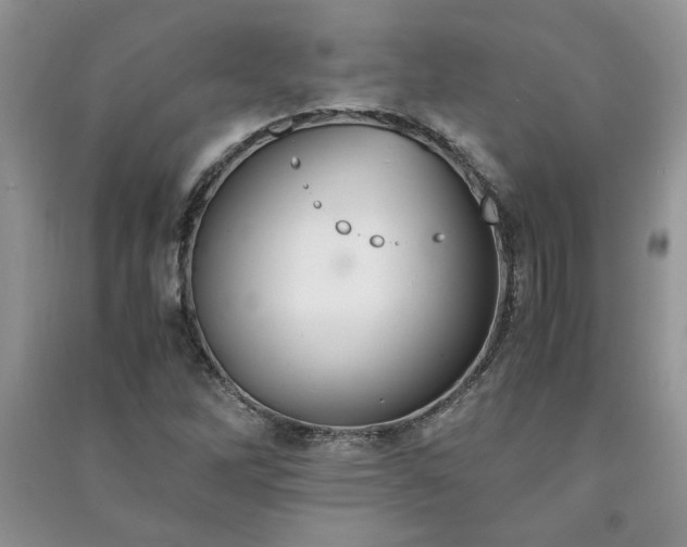 X0000091081262200708131247