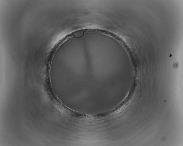 X0000091081263200708131247