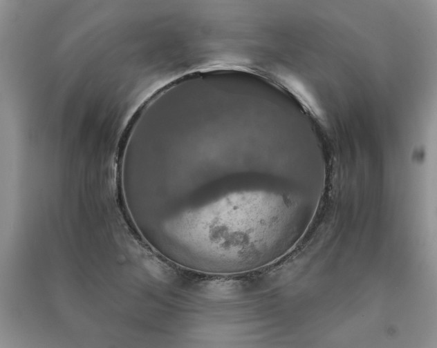 X0000091081268200708131247