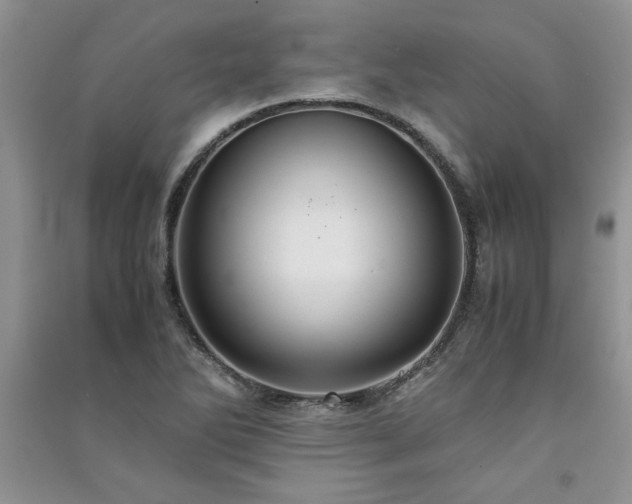 X0000091081270200708131247