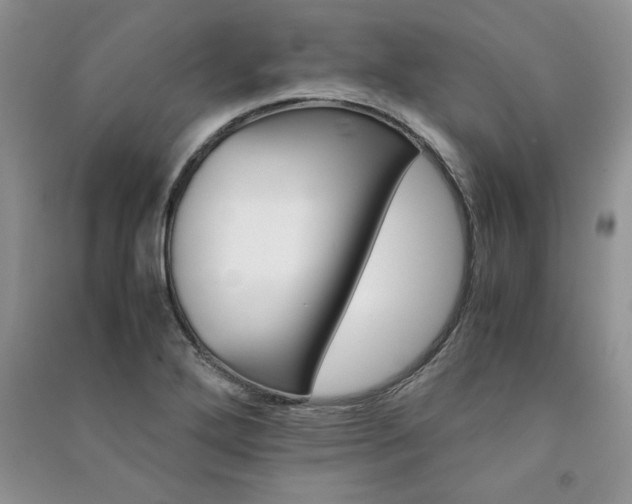 X0000091081272200708131247