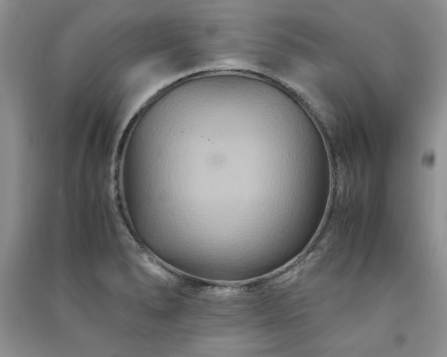 X0000091081278200708131247