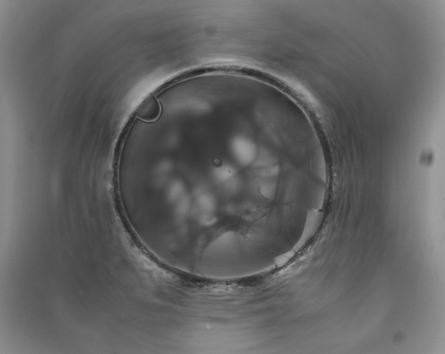 X0000091081279200708131247