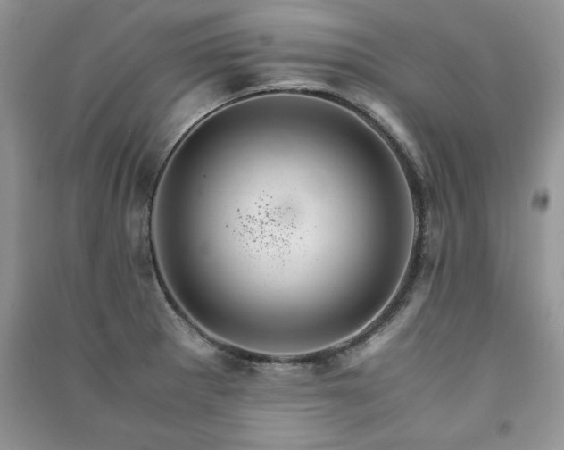 X0000091081281200708131247