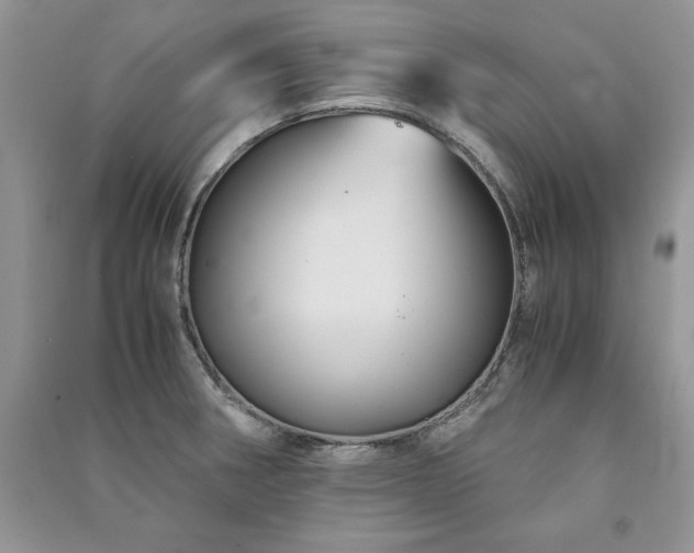 X0000091081282200708131247