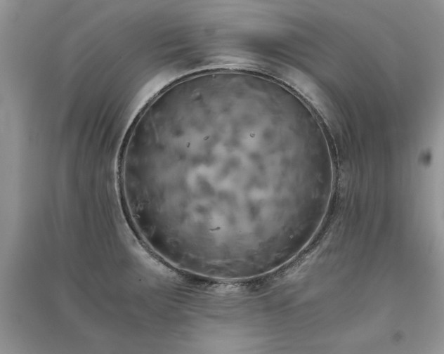 X0000091081283200708131247