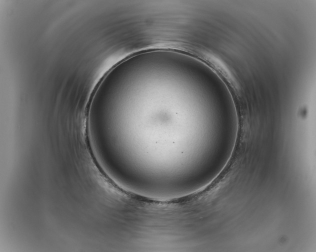 X0000091081284200708131247