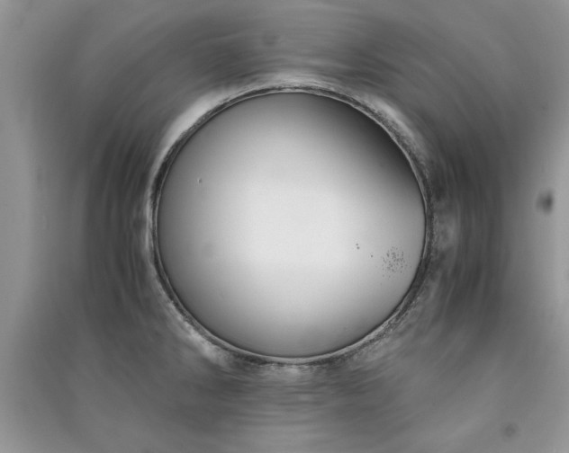 X0000091081286200708131247