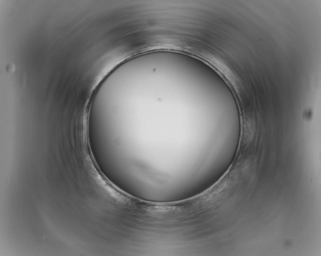 X0000091081290200708131247