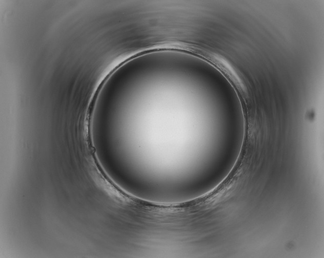 X0000091081292200708131247