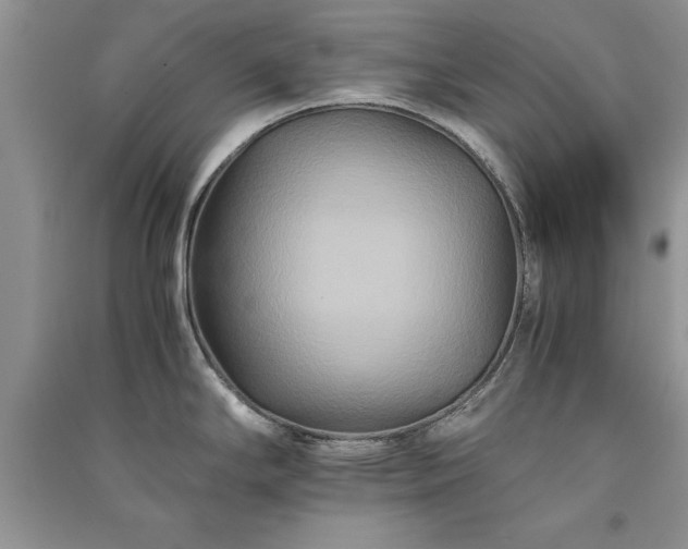 X0000091081294200708131247