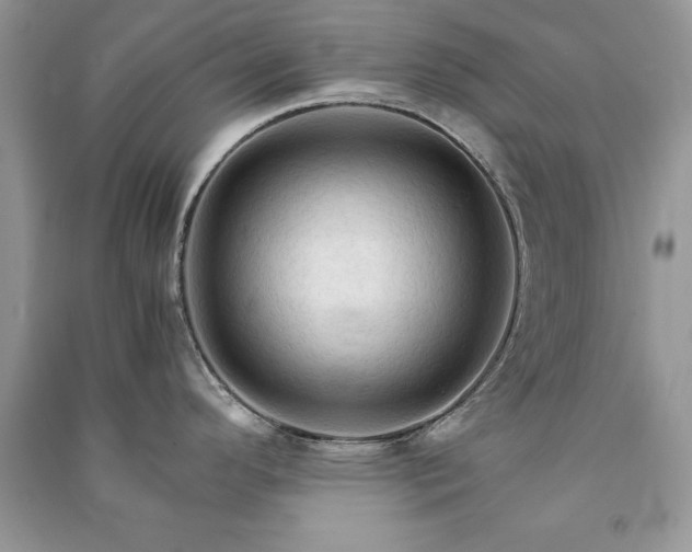 X0000091081296200708131247