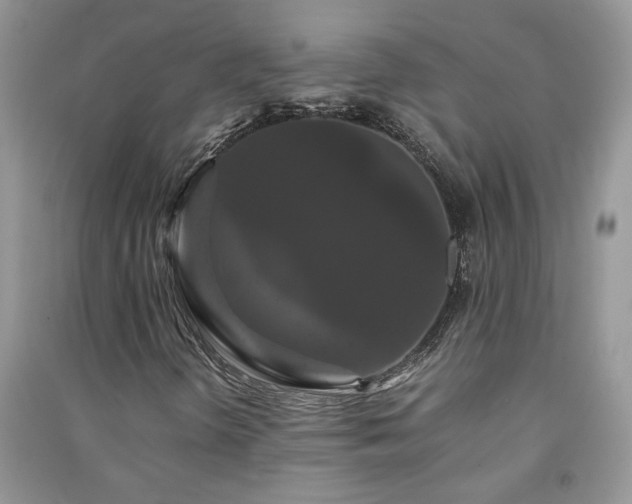 X0000091081298200708131246