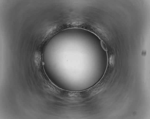 X0000091081299200708131246