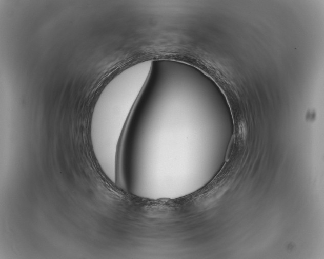 X0000091081300200708131246