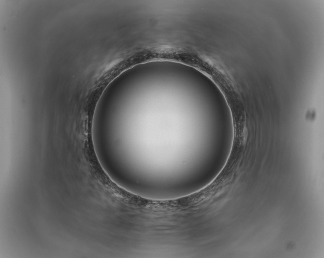 X0000091081301200708131246