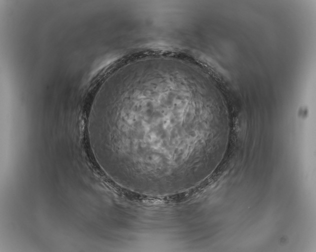 X0000091081302200708131246