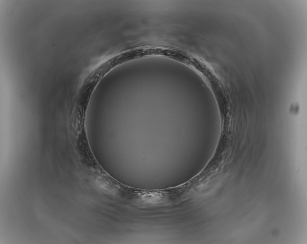 X0000091081303200708131246