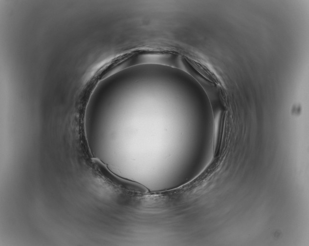 X0000091081304200708131246