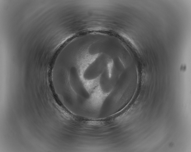 X0000091081305200708131246