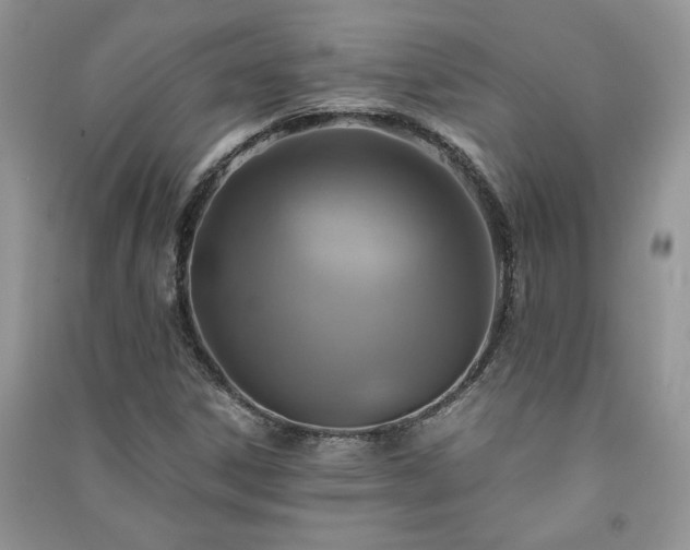 X0000091081306200708131246