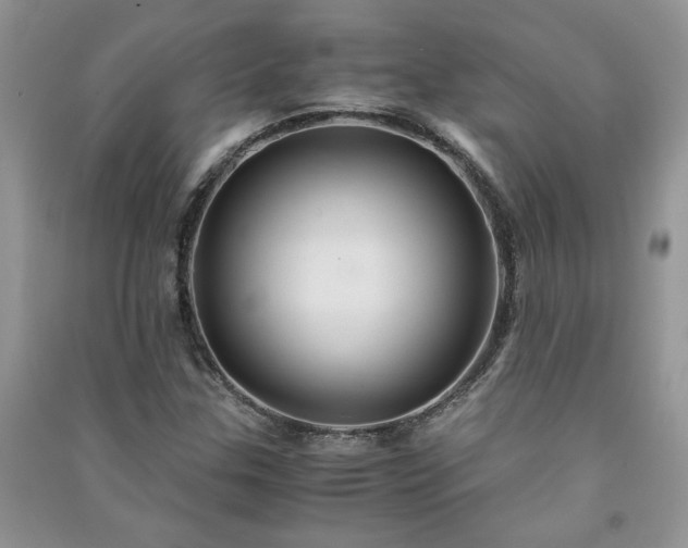 X0000091081307200708131246