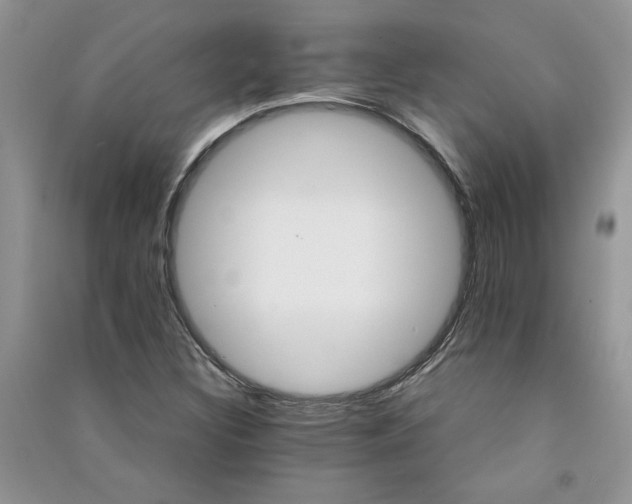 X0000091081308200708131246