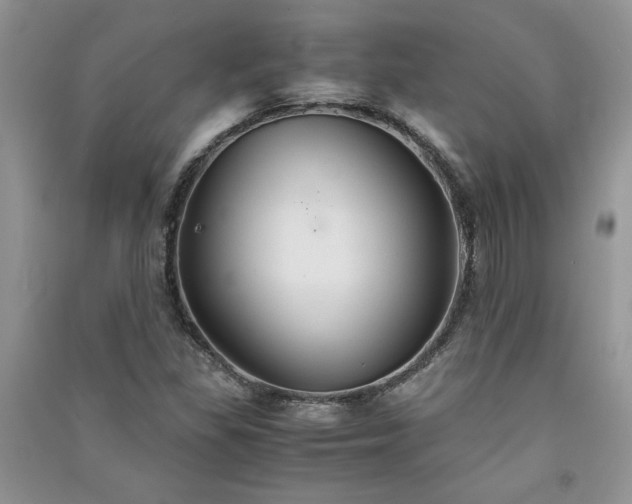 X0000091081309200708131246