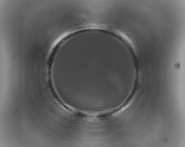 X0000091081310200708131246