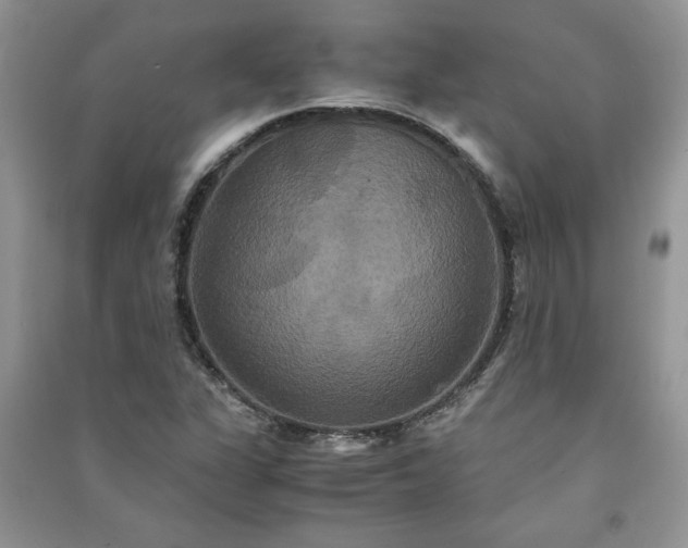 X0000091081311200708131246