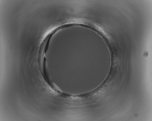 X0000091081312200708131246