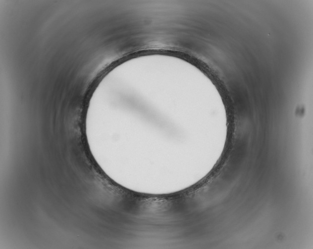 X0000091081314200708131246