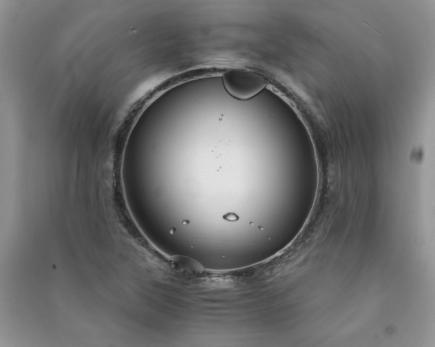 X0000091081315200708131246