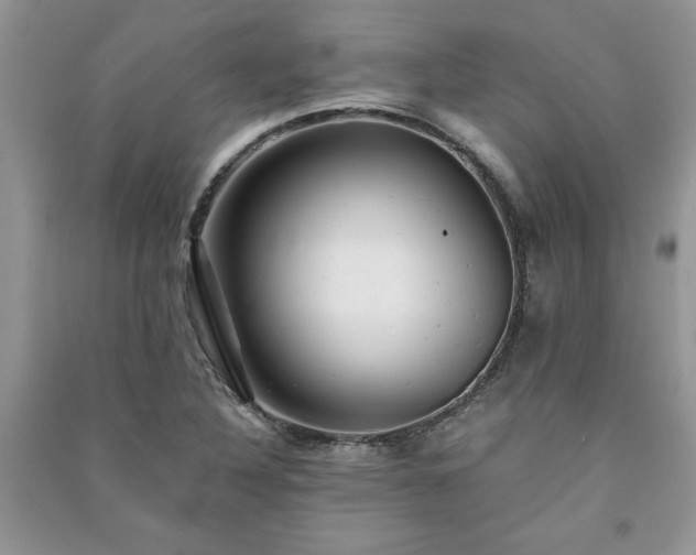 X0000091081316200708131246