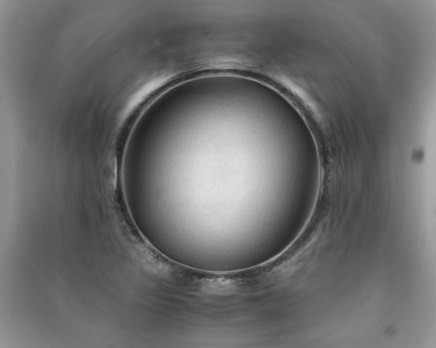 X0000091081317200708131246