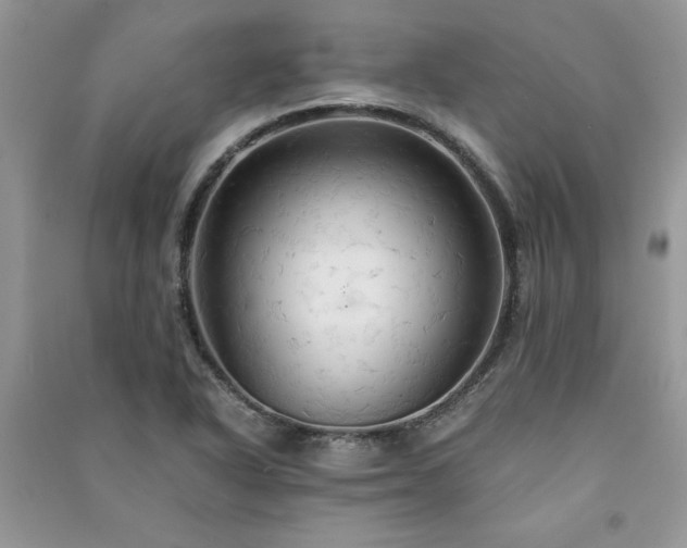 X0000091081318200708131246