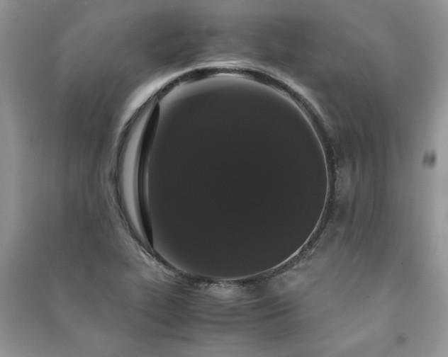 X0000091081319200708131246