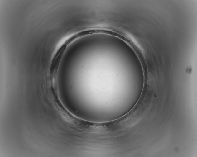 X0000091081320200708131246